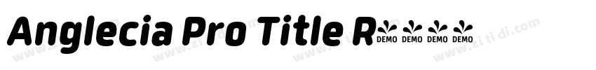 Anglecia Pro Title R字体转换